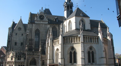 Zoutleeuw (3)