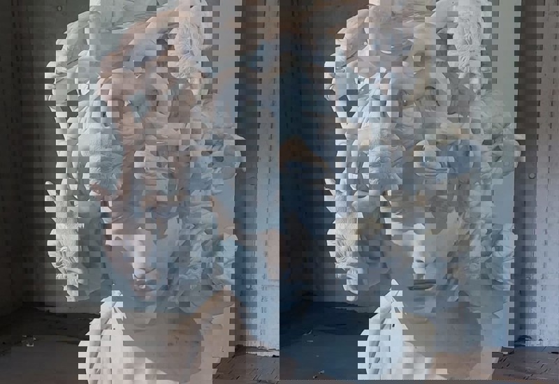 IMG 20250916 WA0013