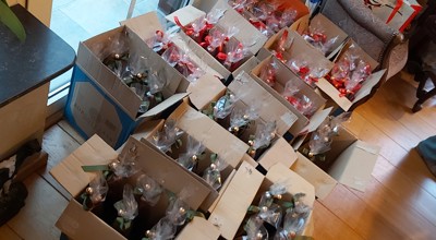 20251208 155302 Kopie