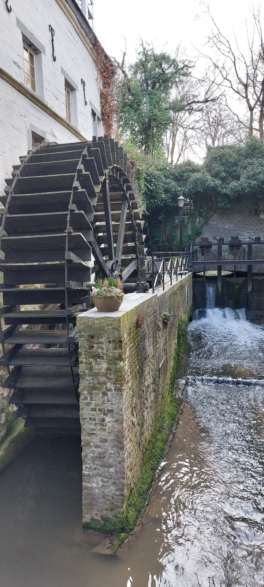 Whatsapp Image 2026 03 10 At 20.56.59 (2)