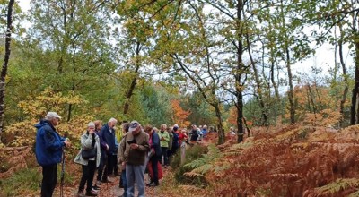 Herfstwandeling met Romain 2025