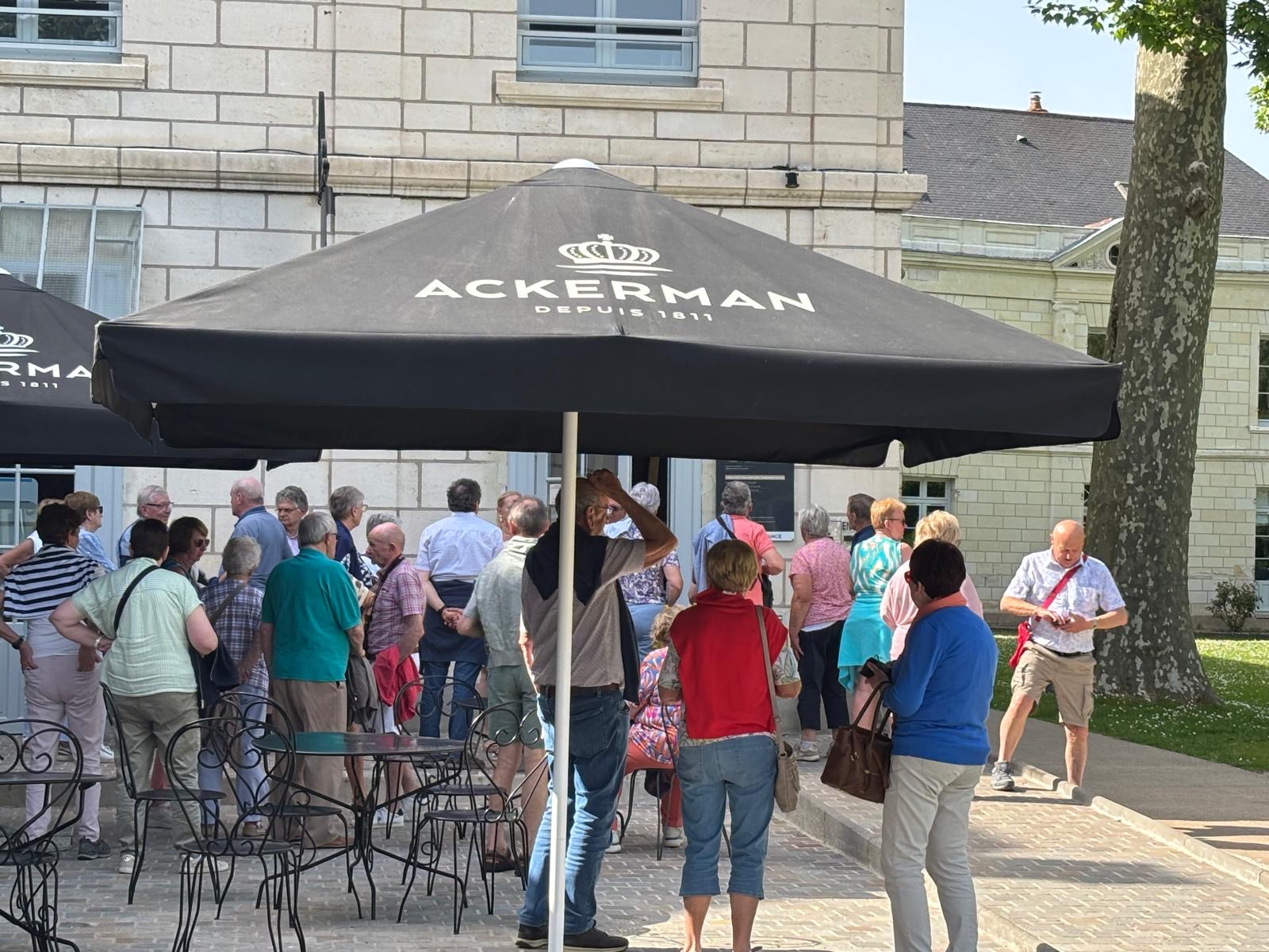 E265f3a0 Bcb2 42Cf 999C 4Bdf3e8aced2