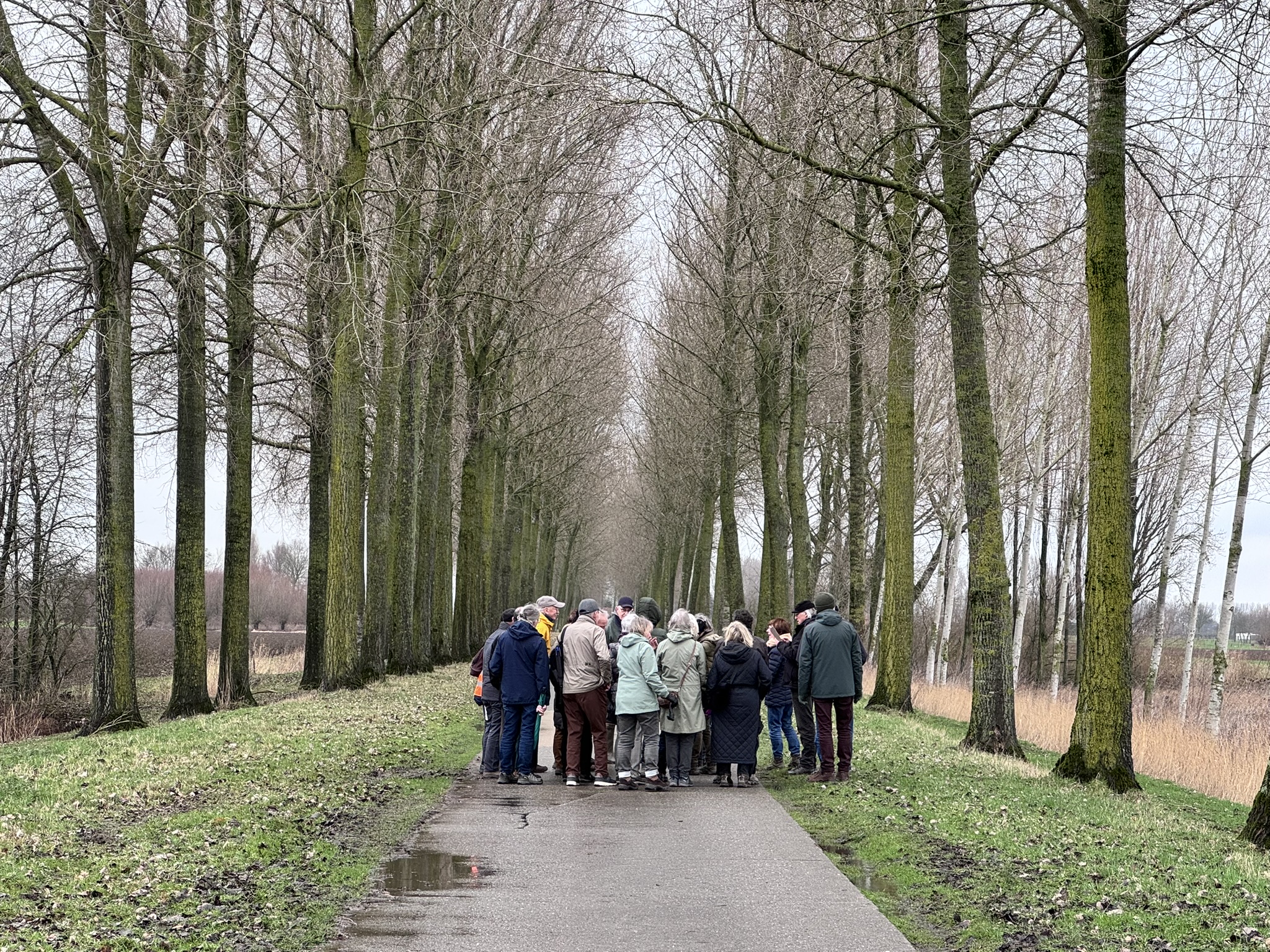 Wandeling Meerdonk 12-02-2026