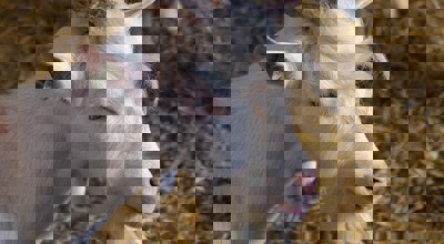 480999879 1051369813697278 6571797737111124420 N