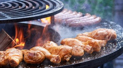 Distelapparath Chicken 4323967