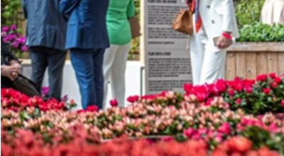 Screenshot 1769694290402