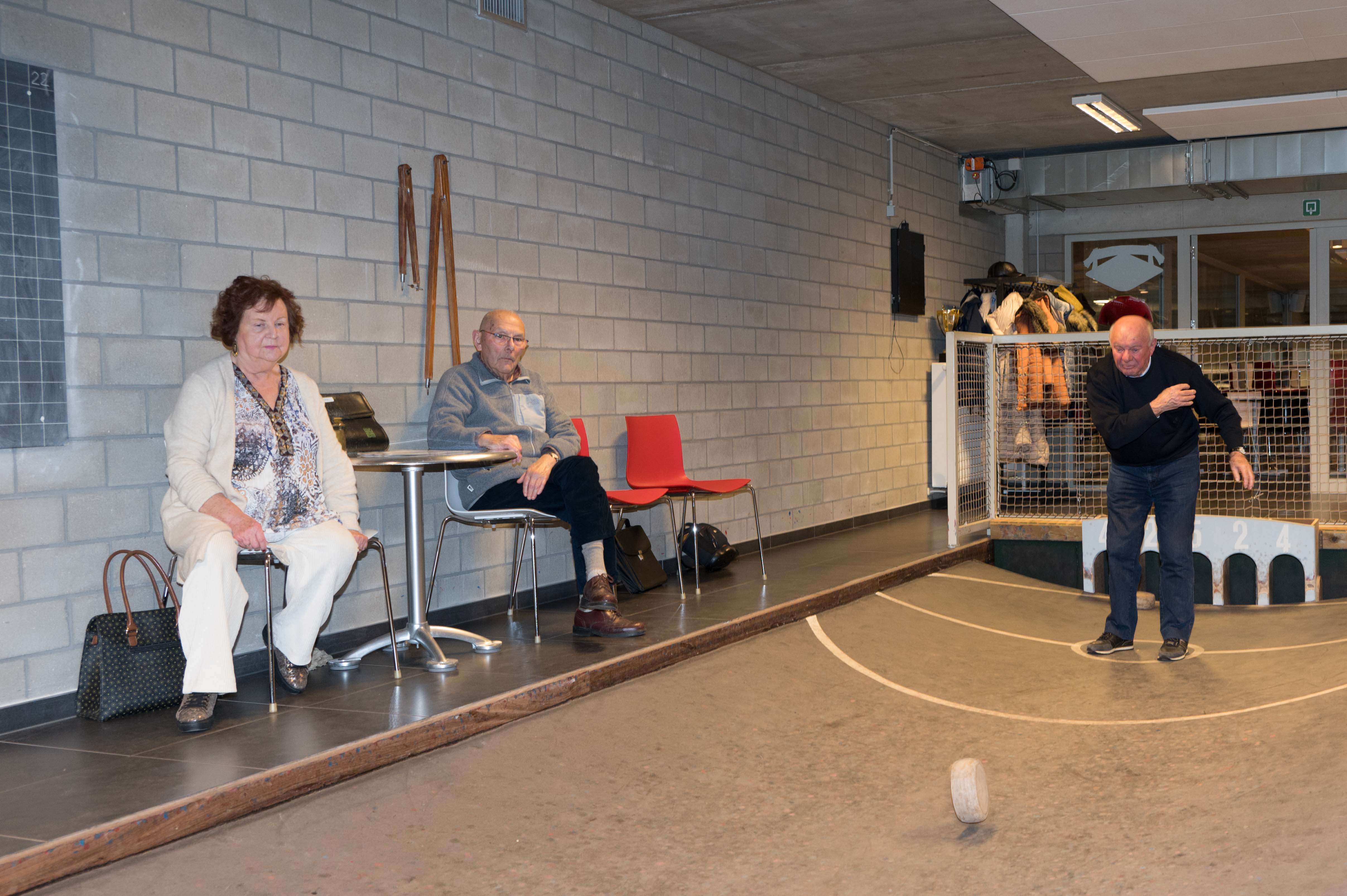 Bollen Met Neos 2025 Dina (1 Van 1)