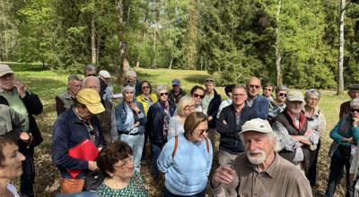 Wandeling Ziepbeek