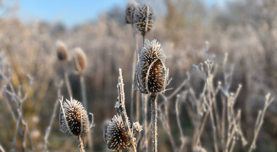 2025-02-03/Trail Melle3 Fotor