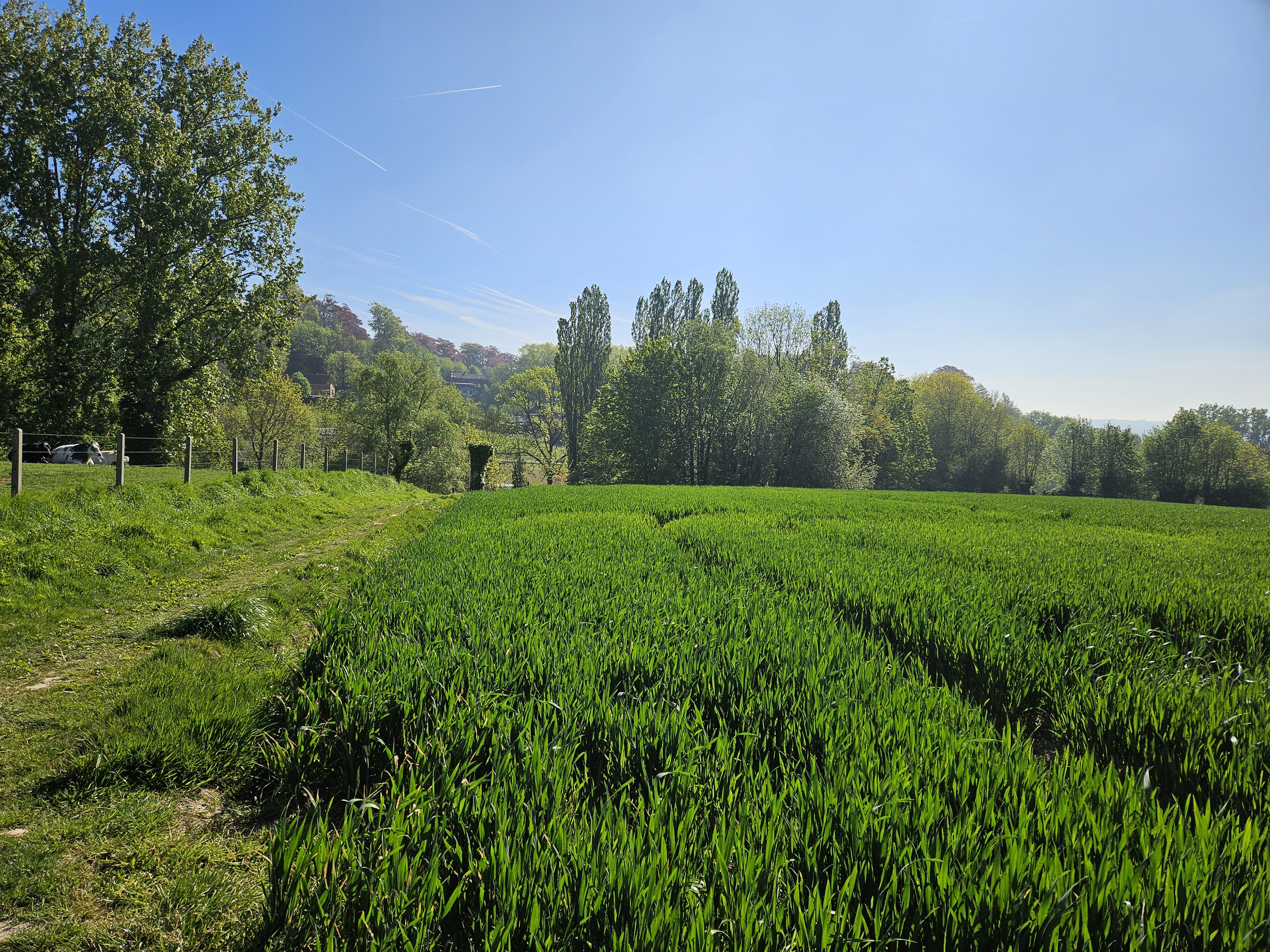 Provinciale wandeldag Ronse
