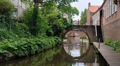 Den Bosch Voor Verslag