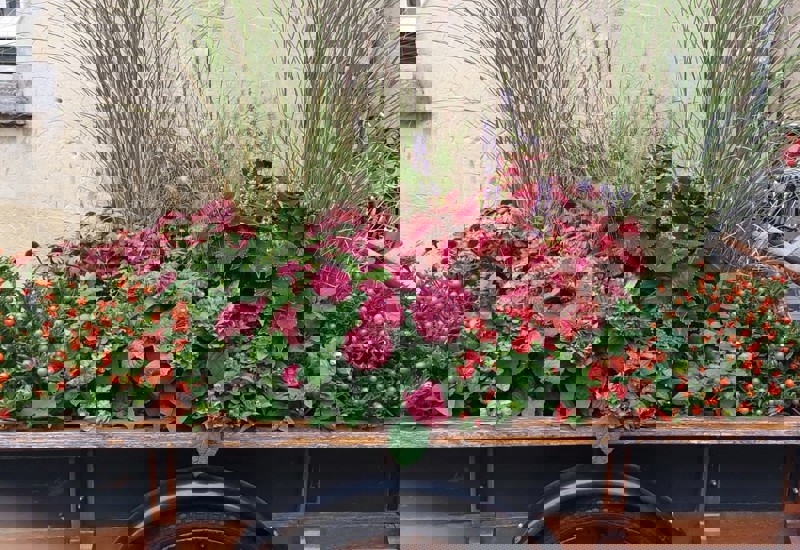 IMG 20251010 WA0008