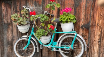 Fiets5