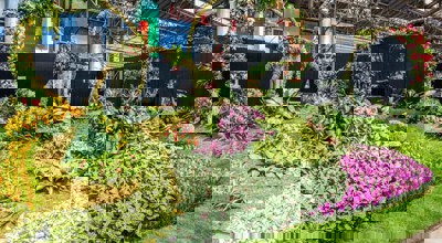 Gentse Flora Buggenhout